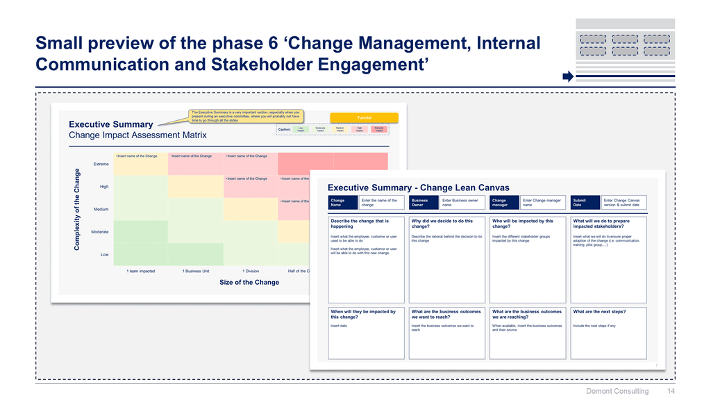 Operating Model and Organization Design Toolkit-Domont Consulting